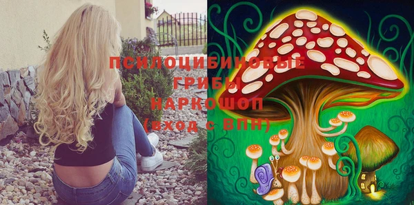 прущая мука Армянск