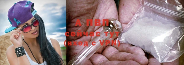 бошки Арсеньев