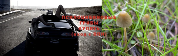 спайс Аркадак