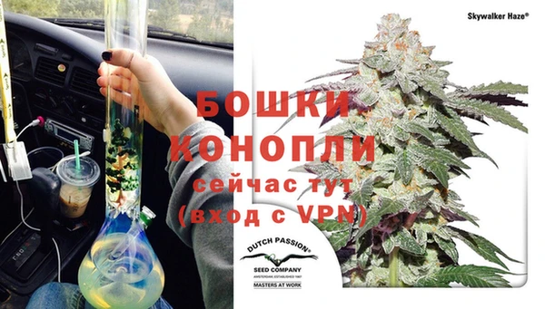 бошки Арсеньев