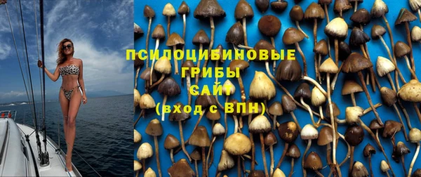 прущая мука Армянск