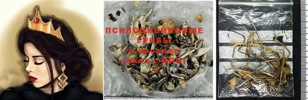 прущая мука Армянск