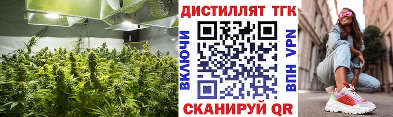 Дистиллят ТГК Wax  купить закладку  Тетюши 