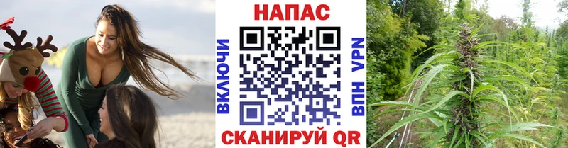 Шишки марихуана LSD WEED  мориарти телеграм  Тетюши 